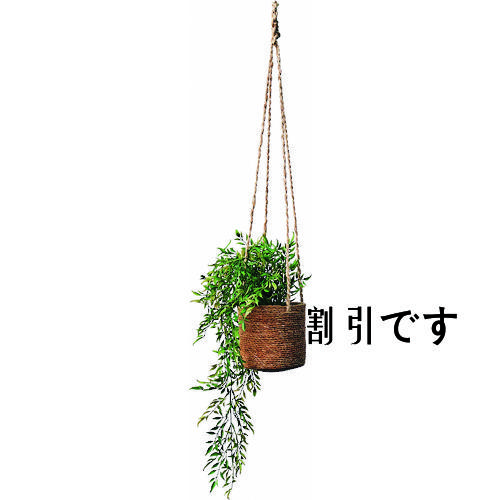 コクヨ　イングリーン　人工植物　スマイラックス　鉢カバー吊りホグラ草　